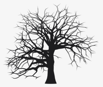 Botany,plant,leaf - Tree Branches Silhouette Png, Transparent Png, Free Download