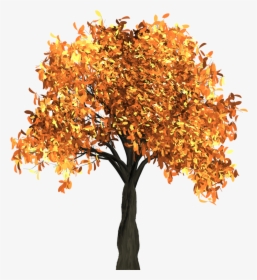 Autumn Tree Png Image - Fall Tree No Background, Transparent Png, Free Download