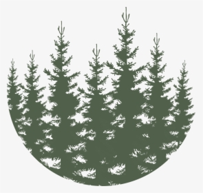 Forest - Green - Snowy Christmas Trees Png, Transparent Png, Free Download