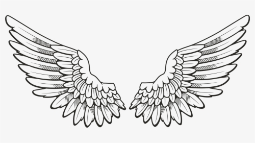 Transparent Golden Wings Png - Angel Wings Drawing Png, Png Download, Free Download