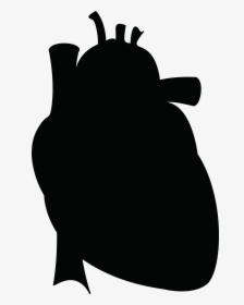 Free Clipart Of A Human Heart - Human Heart Clipart Black, HD Png Download, Free Download