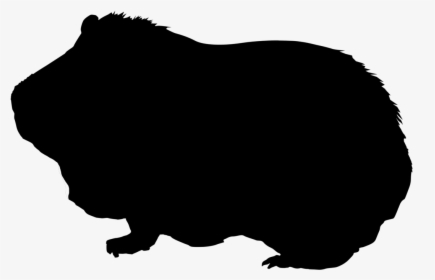 Guinea Pig Silhouette - Silhouette Guinea Pig Clipart, HD Png Download, Free Download