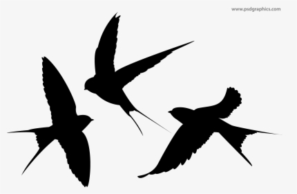 Swallow Silhouette Bird - Swallows Silhouette, HD Png Download, Free Download