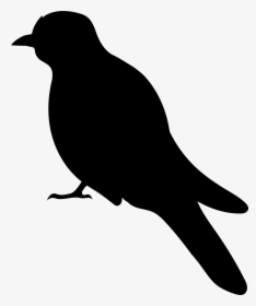 Bird Silhouette Png Clip Art Image, Transparent Png, Free Download