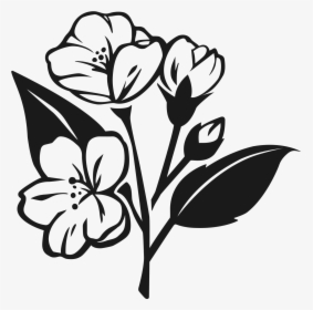 Jasmine Flower Vector Png Black White, Transparent Png, Free Download