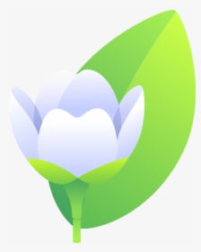 Jasmine - Sacred Lotus, HD Png Download, Free Download