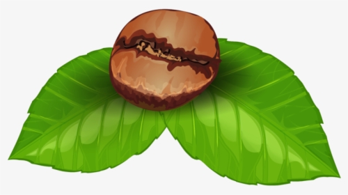 Coffee Beans Png Art, Transparent Png, Free Download