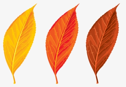 Top 82 Autumn Leaf Clip Art - Autumn Leaf Clipart Png, Transparent Png, Free Download