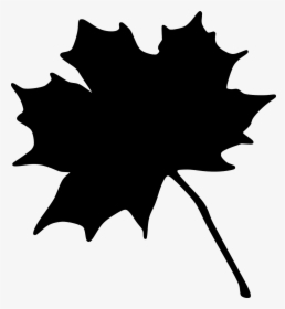 Maple Leaf Vector Graphics Portable Network Graphics - Maple, HD Png Download, Free Download