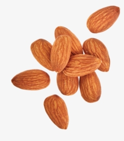 Almond, HD Png Download, Free Download