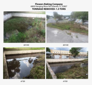 Florida Pond Cleaning Before And After Seven - Freshwater Marsh, HD Png Download, Free Download