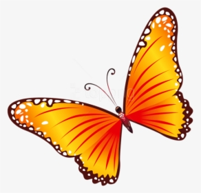 Free Png Download Transparent Orange Butterfly Clipart - Butterfly Clipart Transparent, Png Download, Free Download