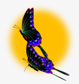 Peacock Butterflies - Peacock Monarch Butterfly, HD Png Download, Free Download