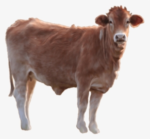 Cow Png Image - Brown Cow Transparent Background, Png Download, Free Download