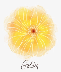 Golden - Darkness, HD Png Download, Free Download