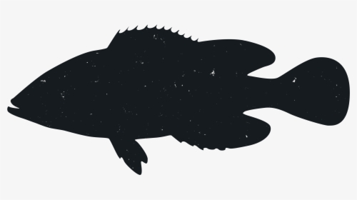Silhouette Animal Marine Mammal - Illustration, HD Png Download, Free Download
