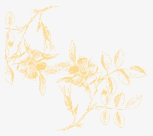 Florais Png, Transparent Png, Free Download