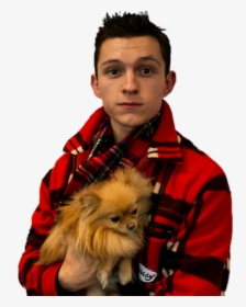 Tom Holland Png - Tom Holland And A Dog, Transparent Png, Free Download