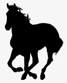 Colt Horse Png , Png Download - Horses With Clear Background, Transparent Png, Free Download