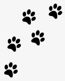 Thumb Image - Paw Prints Transparent Background, HD Png Download, Free Download