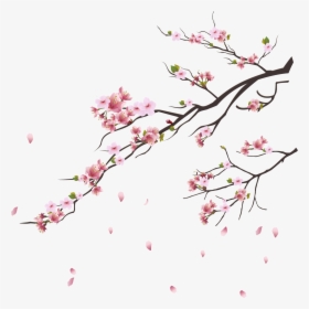 Blossom Trees, Cherry Blossom Tree, Pink Flowers, Botanical - Cherry Blossom Tree Png, Transparent Png, Free Download