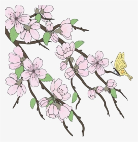 Cherry Blossom Drawing Branch - Amazing Cherry Blossom Drawing, HD Png Download, Free Download