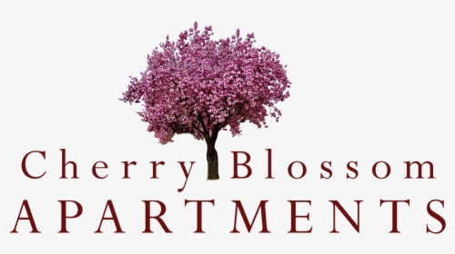 Cherry Blossom Tree Logo, HD Png Download, Free Download