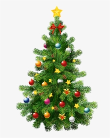 Decorative Christmas Pine Tree Png Photos - Clipart Transparent Christmas Tree, Png Download, Free Download