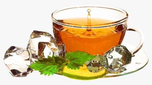 Green Tea With Ice - Herbal Tea Png Transparent, Png Download, Free Download