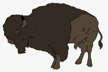 Buffalo, Bright Images - Buffalo Animated Gif Png, Transparent Png, Free Download