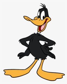 #daffyduck #looneytunes #warnerbroscharacters #freetoedit - Daffy Duck, HD Png Download, Free Download