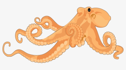 Realistic Octopus Clipart - Octopus Clipart Free, HD Png Download, Free Download