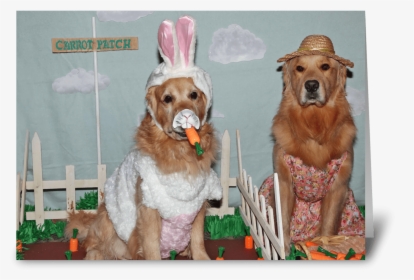 Golden Retriever Hoppy Easter Greeting Card - Cocker Spaniel, HD Png Download, Free Download