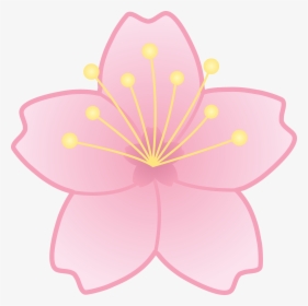 Flower Cherry Blossom Clipart, HD Png Download, Free Download