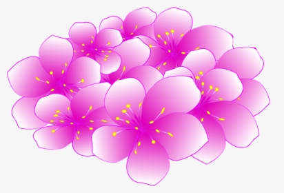 Cherry Blossom, HD Png Download, Free Download