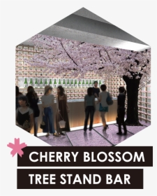 A Stand Bar With A Tall Sakura Tree Rises In The Middle - Poster, HD Png Download, Free Download