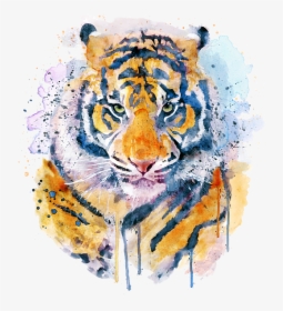 Bleed Area May Not Be Visible - Tiger Face Acrylic Painting, HD Png Download, Free Download