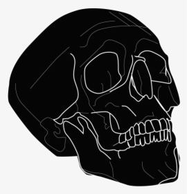 Pirate Skull Tee-01 - Skull, HD Png Download, Free Download