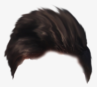 Hair Png Visual Tiger Face Mask Editing - Bird, Transparent Png, Free Download