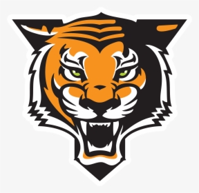 School Logo - Easy Tiger Roaring Drawing, HD Png Download, Free Download