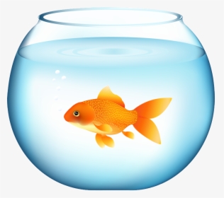 Goldfish Png, Download Png Image With Transparent Background, - Fish In A Bowl Clipart, Png Download, Free Download