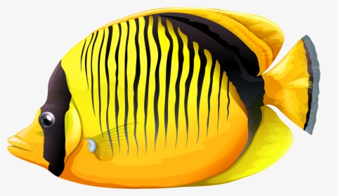 Gold Fish Clipart Realistic Fish - Sea Fish Hd Png, Transparent Png, Free Download