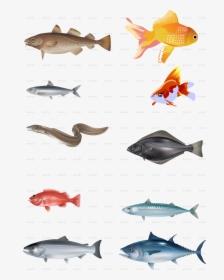 Realistic Fish Vector, HD Png Download, Free Download