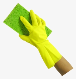 Washing Sponge In Hand Png - Hand And Sponge Png, Transparent Png, Free Download