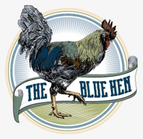 Hen Png, Transparent Png , Png Download - Blue Hen Rehoboth Beach, Png Download, Free Download