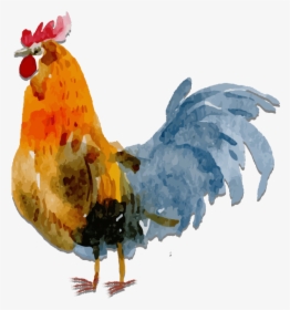 Transparent Cock Clipart - Chicken Watercolor Png, Png Download, Free Download