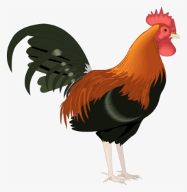 Rooster Clip Art Cartoon Free - Rooster Clipart, HD Png Download, Free Download