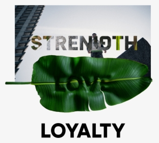 Love Strength Loyalty - Poster, HD Png Download, Free Download