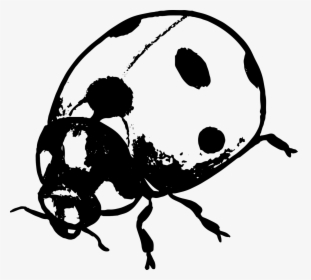 Ladybird Silhouette, HD Png Download, Free Download