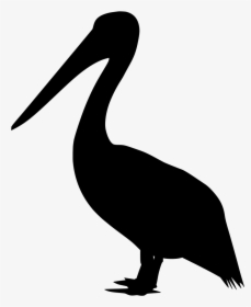 Pelican Svg, HD Png Download, Free Download